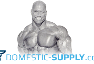 domestic supply logo.gif